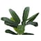 Monarch Specialties Artificial Plant, 55" Tall, Banana Tree, Indoor, Faux, Fake, Floor, Greenery, Potted, Real Touch I 9568 - alternate 4